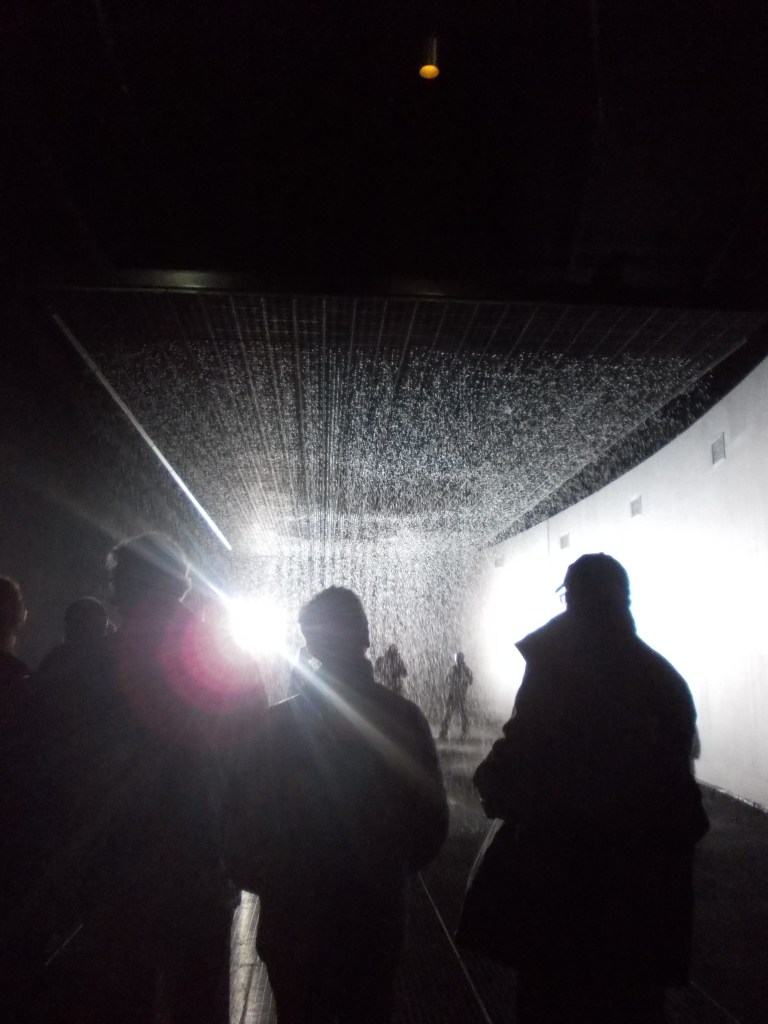 Rain Room 1
