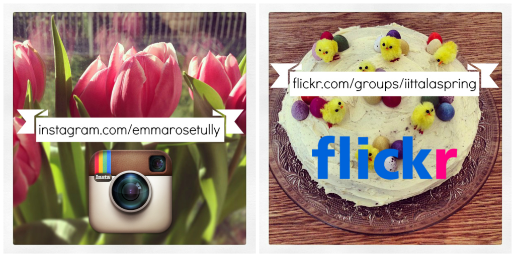 insta flickr follow