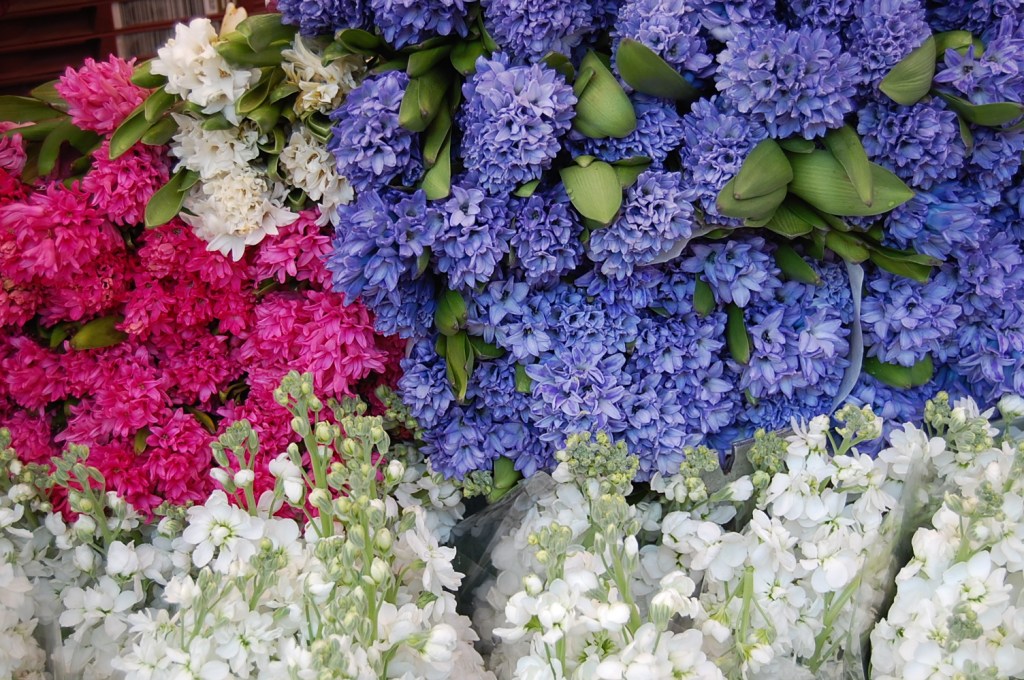 Columbia Road Flower Market Emma Rose Tully