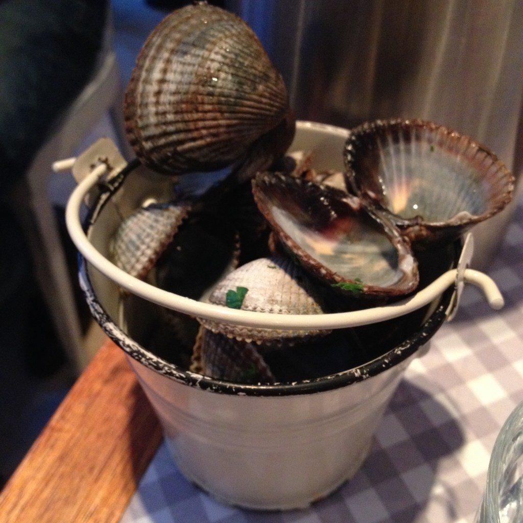 Bonnie Gull Emma Rose Tully Review 7